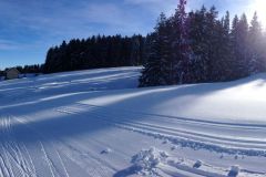 199-Sonnentag-auf-der-Langenegg